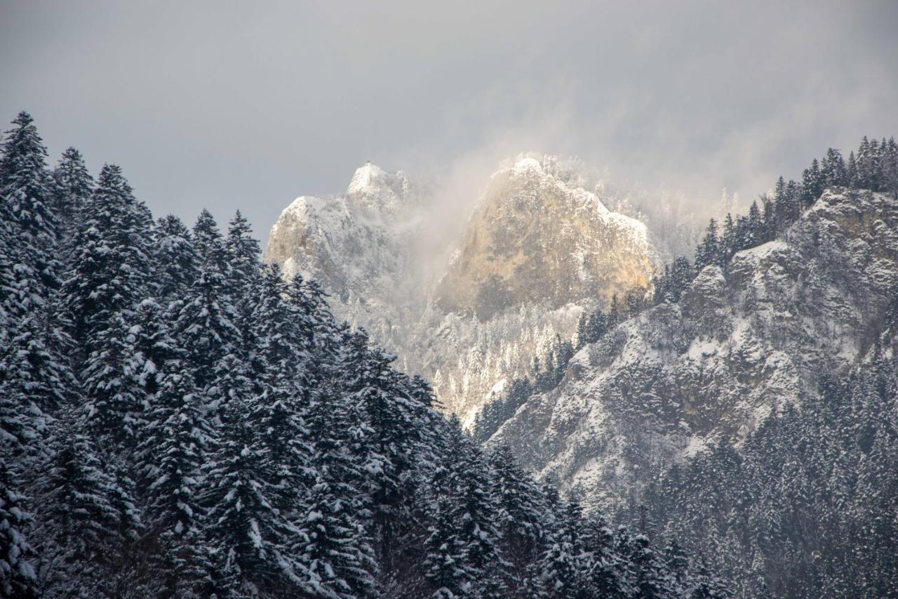 Ubytovanie U Jozefa Červený Kláštor Bagian luar foto